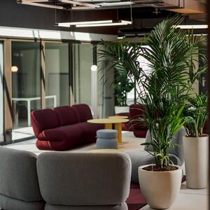 noox®-(coworking-à-crissier)-123.jpg