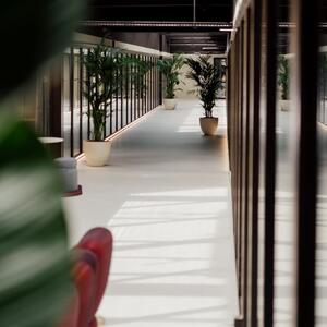 noox®-(coworking-à-crissier)-152.jpg
